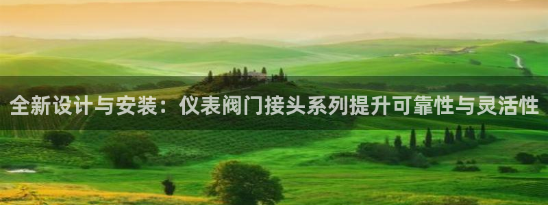 新宝gg辅助