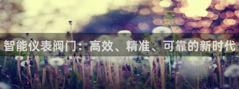 新宝gg 198