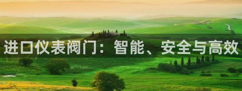 新宝GG—创造奇迹