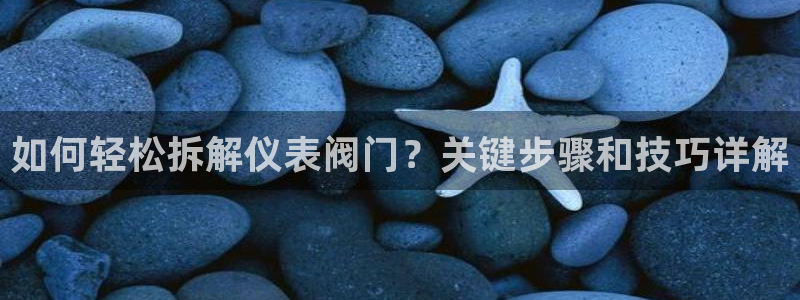 新宝六与新宝gg