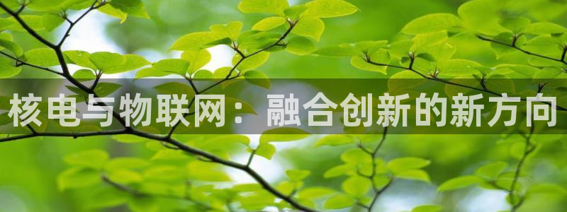 新宝gg主管开