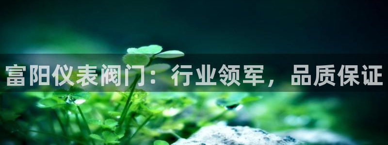 新宝gg选择75775