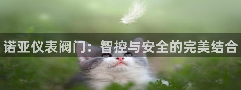 新宝gg成立