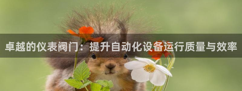 新宝gg平台开发