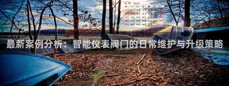 新宝Gg测速地址