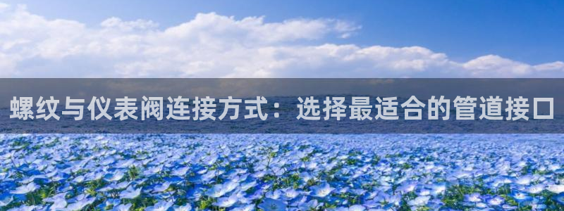新宝gg娱乐首页