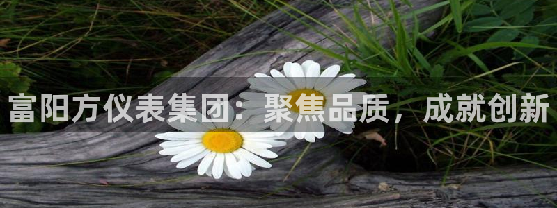 新宝gg 创造