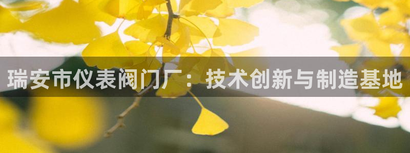 新宝gg 开户