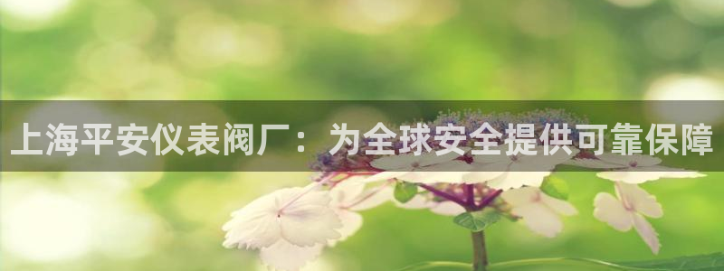 新宝gg主管开