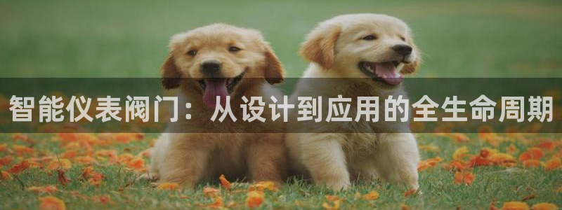 新宝gg如何赚钱