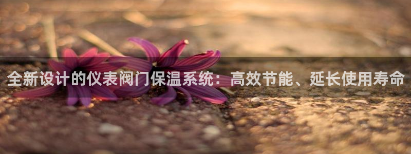 新宝gg分红