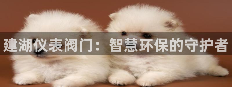 新宝gg怎样代理