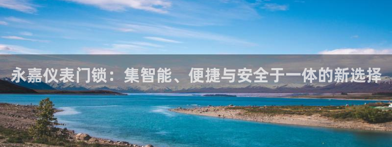 新宝gg总代理