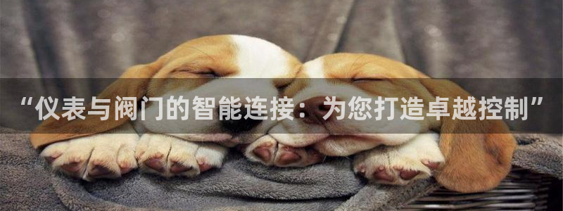 新宝gg公司