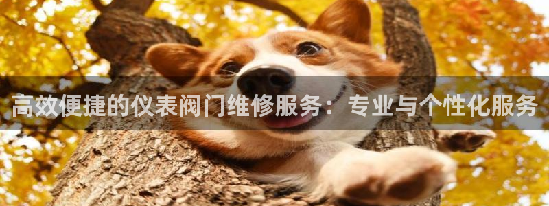 新宝gg--创