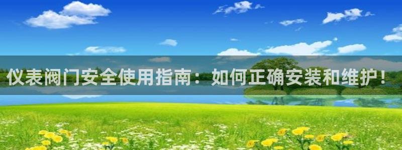 新宝GG反点