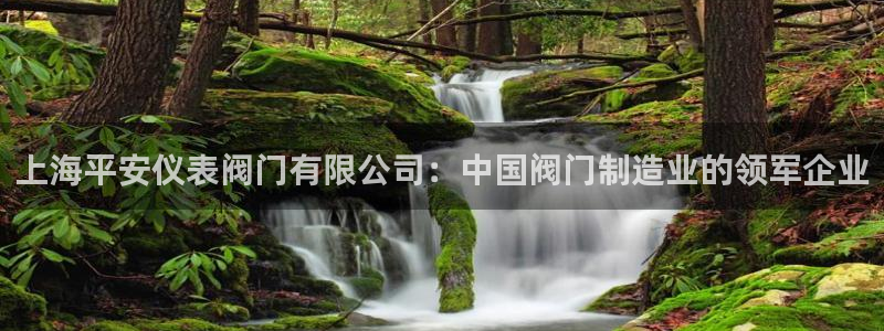 关于新宝GG