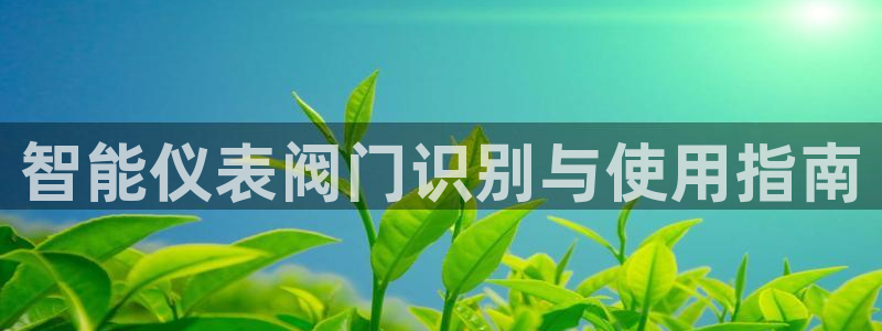 新宝GG嗽78778