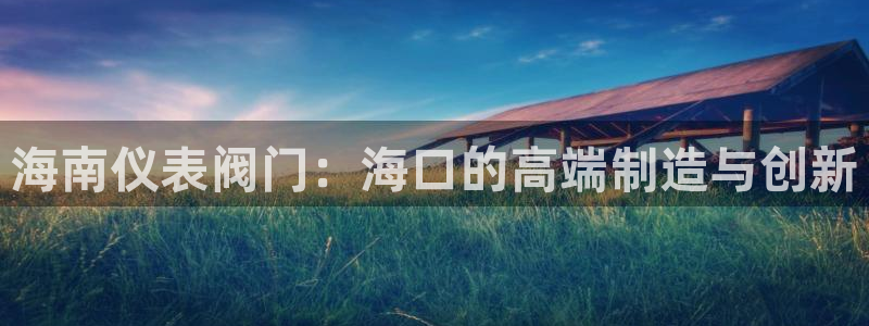 新宝gg好吗