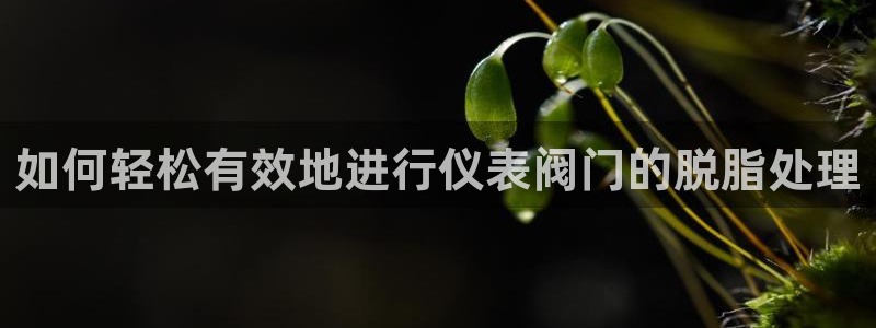 新宝奇迹GG5