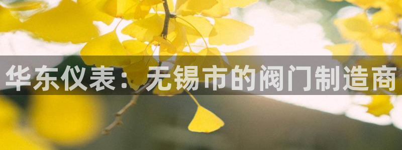 新宝gg游戏平台