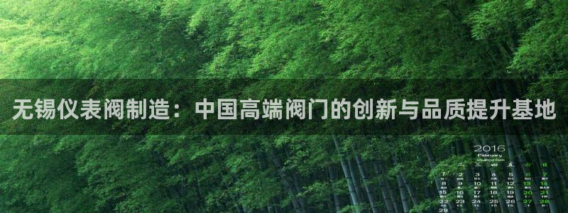 正版新宝gg
