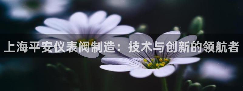 新宝给gg