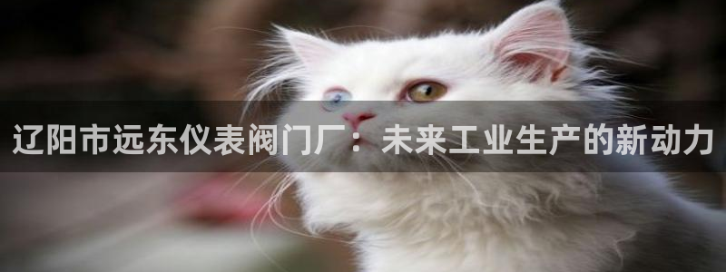 新宝gg软件下载