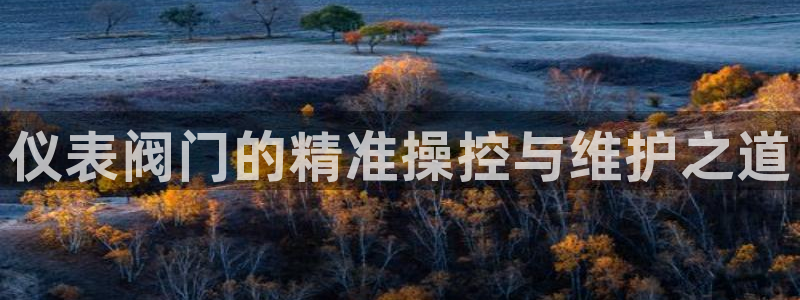 新宝gg如何代理