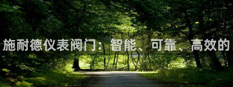 新宝gg网