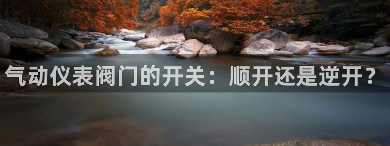 新宝gg样