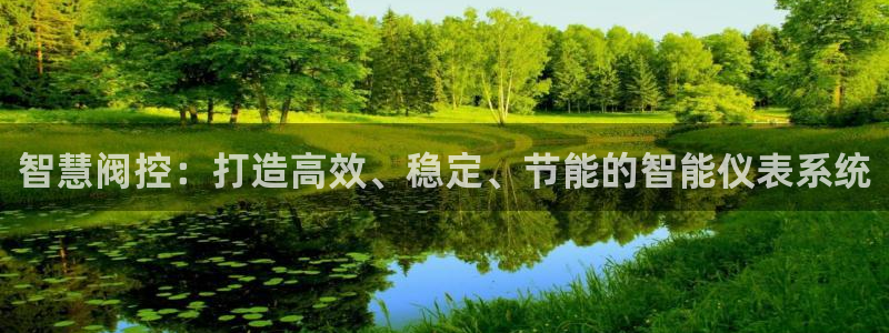 新宝gg娱乐盟主