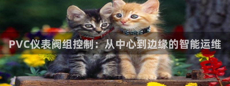 新宝3GG