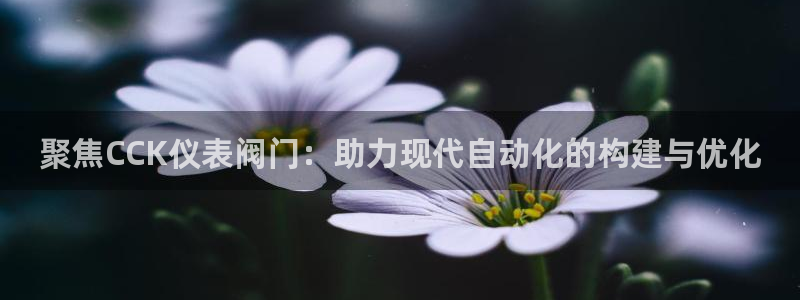 新宝GG—创造奇迹