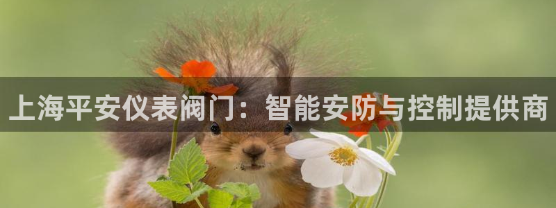 新宝gg app