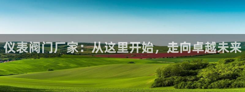 新宝GG 扣.772332