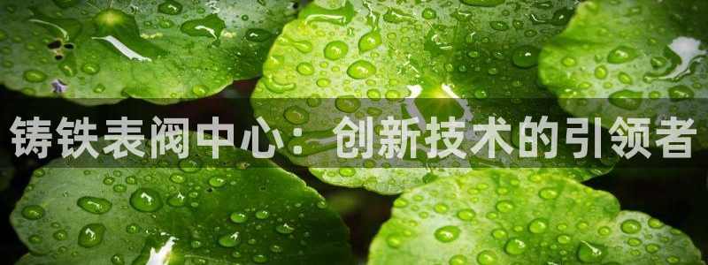新宝gg 首页