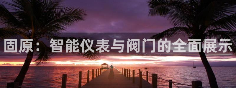 新宝gg是新宝几
